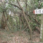 山頂直下の分岐点