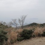 西の方角に海が見える。
