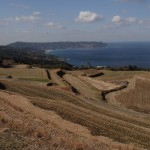 棚田より日本海を望む