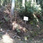 登山口です。右側に進みます。