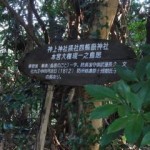 四熊ヶ岳登山道