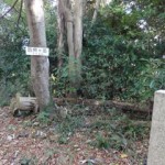 四熊ヶ岳頂上