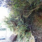 四熊ヶ岳登山道