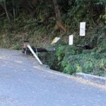 四熊ヶ岳駐車場脇