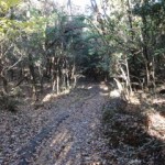 昇仙峰落ち葉の登山道