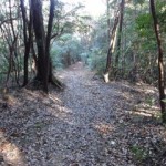 山頂近くの登山口です。