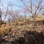 昇仙峰山頂付近