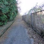 帰りの登山道