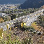 徳山西インターチェンジ