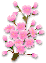 Ǐ